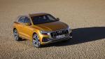 Audi Q8 50 TDI Quattro S-Line 2018 года (WW)